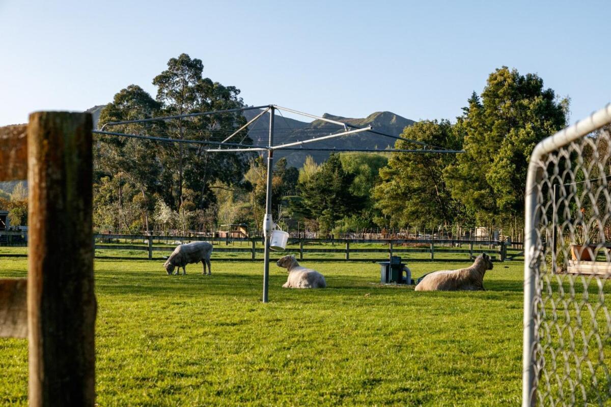 New - Farm House Near Town! 吉斯伯恩 外观 照片
